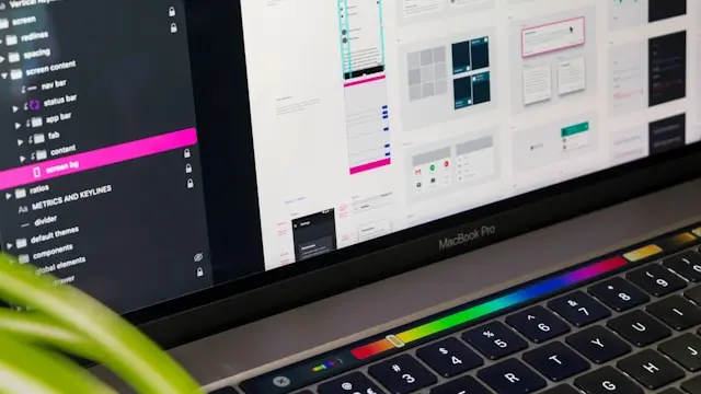 ui ux